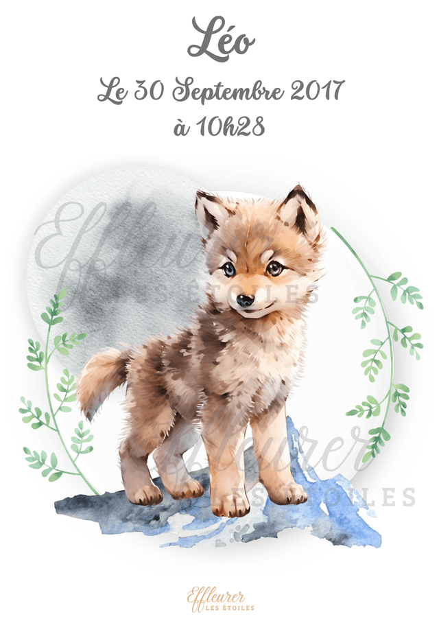 Affiche Bébé - Louveteau
