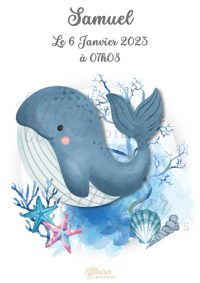 Affiche Bébé - Baleine